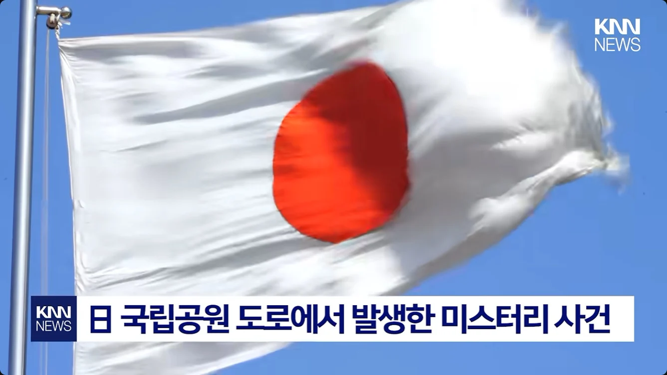 일본에서 난리난 기습 곰맘 시위 (2)