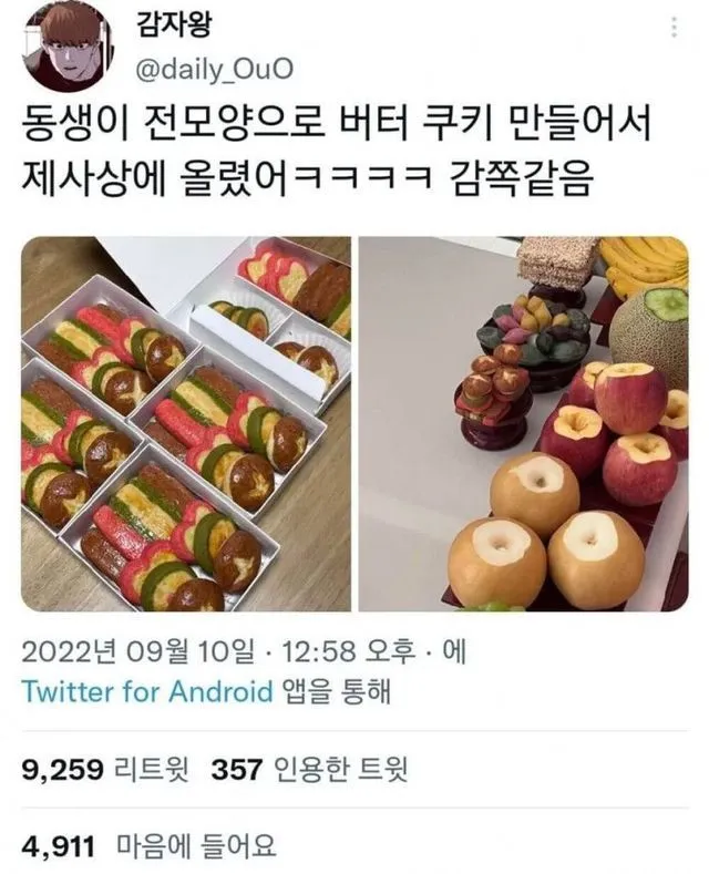 MZ력 충만한 요즘 제사 (4)