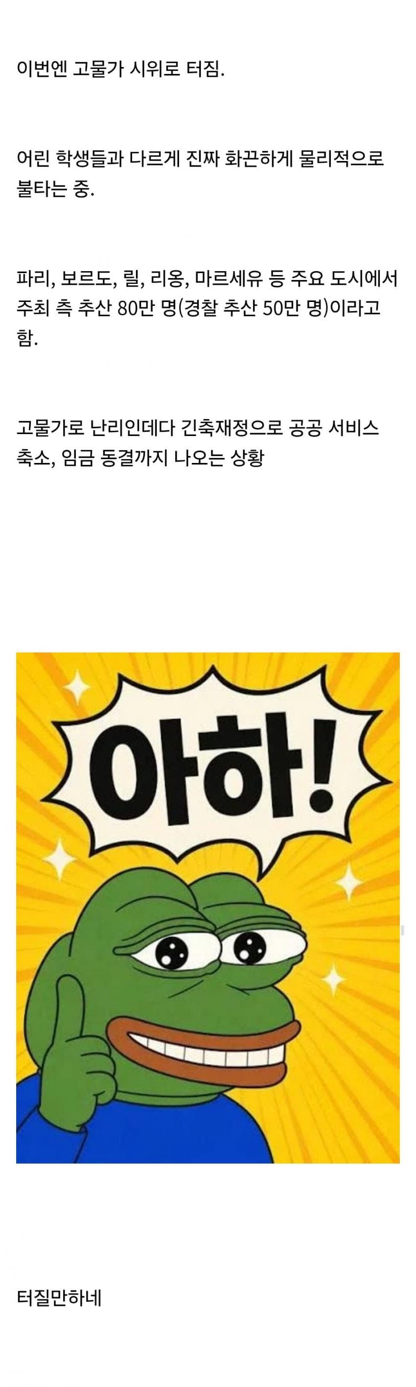 프랑스 시위 심각한듯 (4)