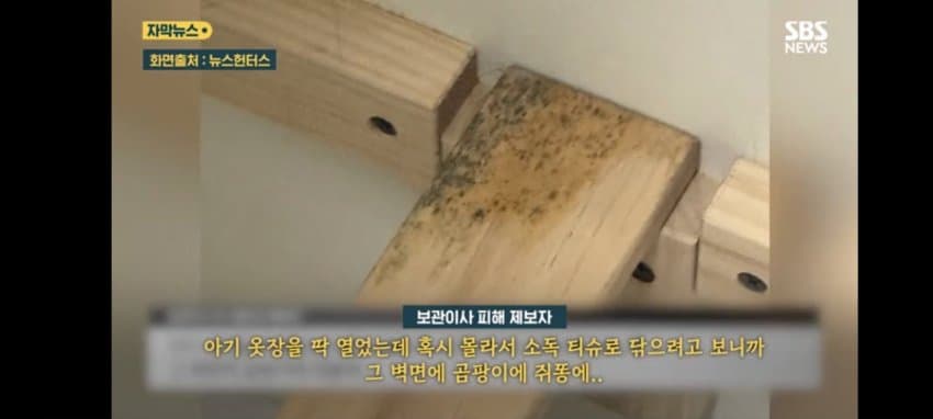 보관이사 맡겼다가 곰팡이, 벌레로 가구 다 망가진 제보자 (11)