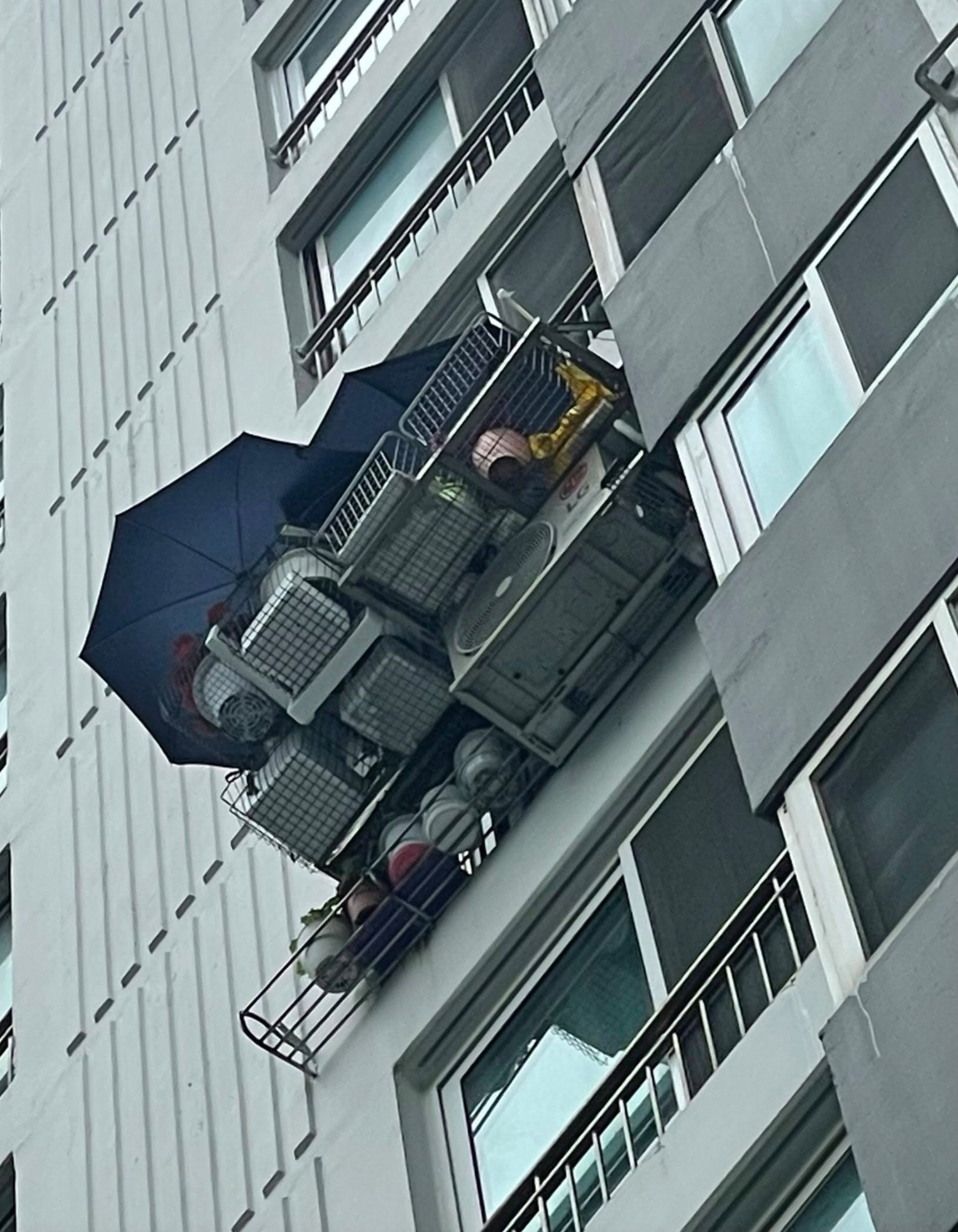 얼마나 위험한지 감도 안옴 (3)