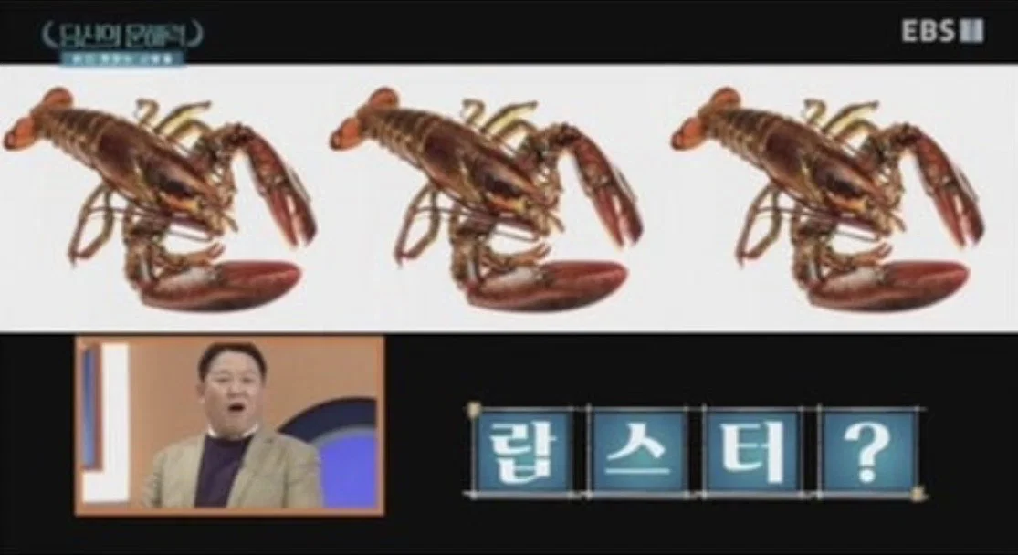 요즘 사람들의 심각한 문해력 수준; + 유퀴즈추가 (22)