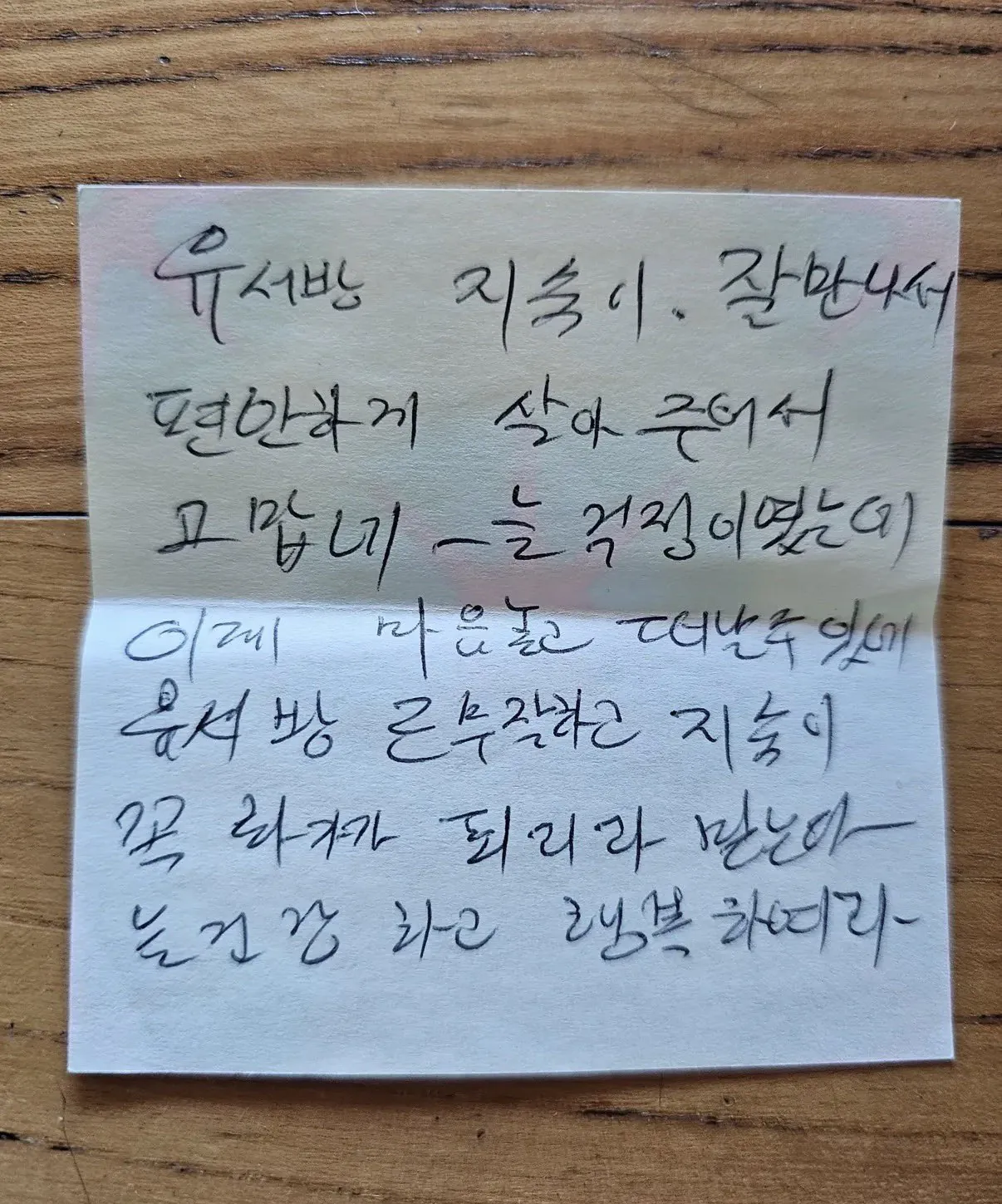 치매걸린 엄마가 생전에 가족에게 남긴 글