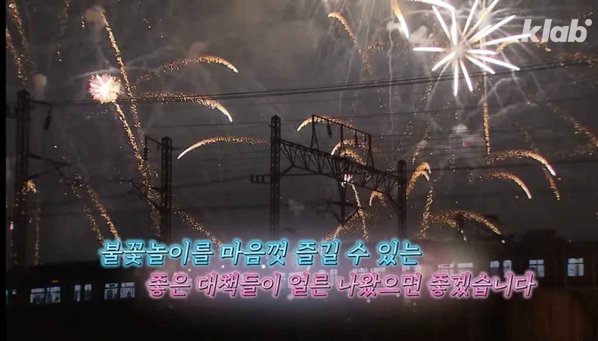새들에겐 거의 전쟁난 수준이라는 불꽃축제 (59)