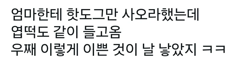 살면서 처음 보는 문장