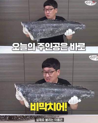 맛있어서 멸종직전까지갔던 비운의 생선