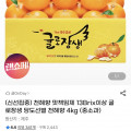 [g마켓]귤로장생 당도선별 천혜향 4kg (19,540원/무배)