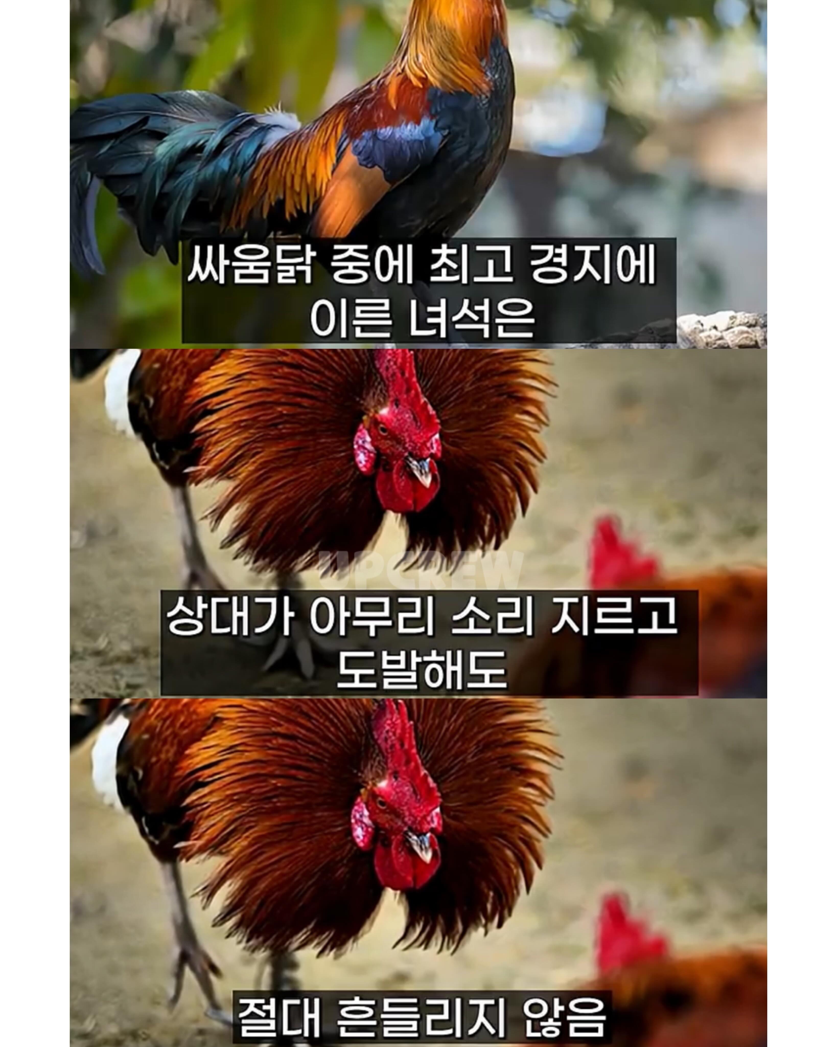 삼성 이재용이 평소에 조용한 이유 (7)
