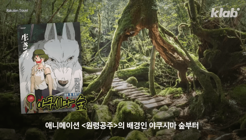 깜짝 .. 일본숲이 유독 무서운 이유 ㄹㅇ . (15)