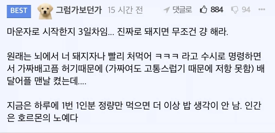 마운자로 맞고 나서 돼지들이 느낀다는 몸의 변화…JPG