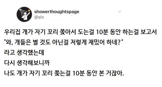 개들은 별 것도 아닌걸 저렇게 재밌어 하네?