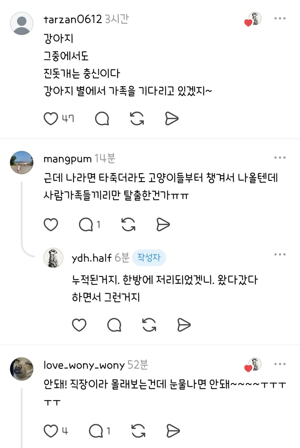 화재현장에서 사람가족들 구하고 무지개다리 건넌 강아지