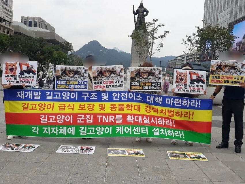 재개발 지역 캣맘단체 근황