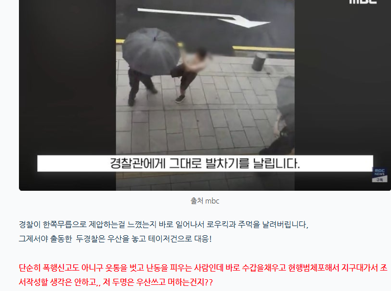 로우킥 날리는 현행범 체포하는 경찰 (3)