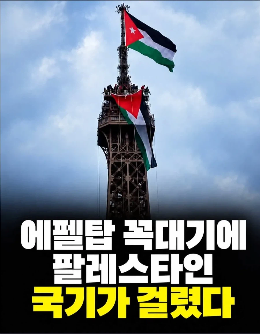 싱글벙글 프랑스 무슬림 폭동 진실 (7)