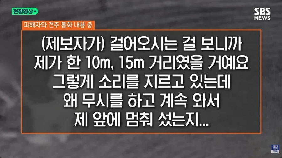 개물림 사고를 낸 견주의 황당한 주장 (8)