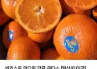 썬키스트 만다린 감귤 2kg 18-25과