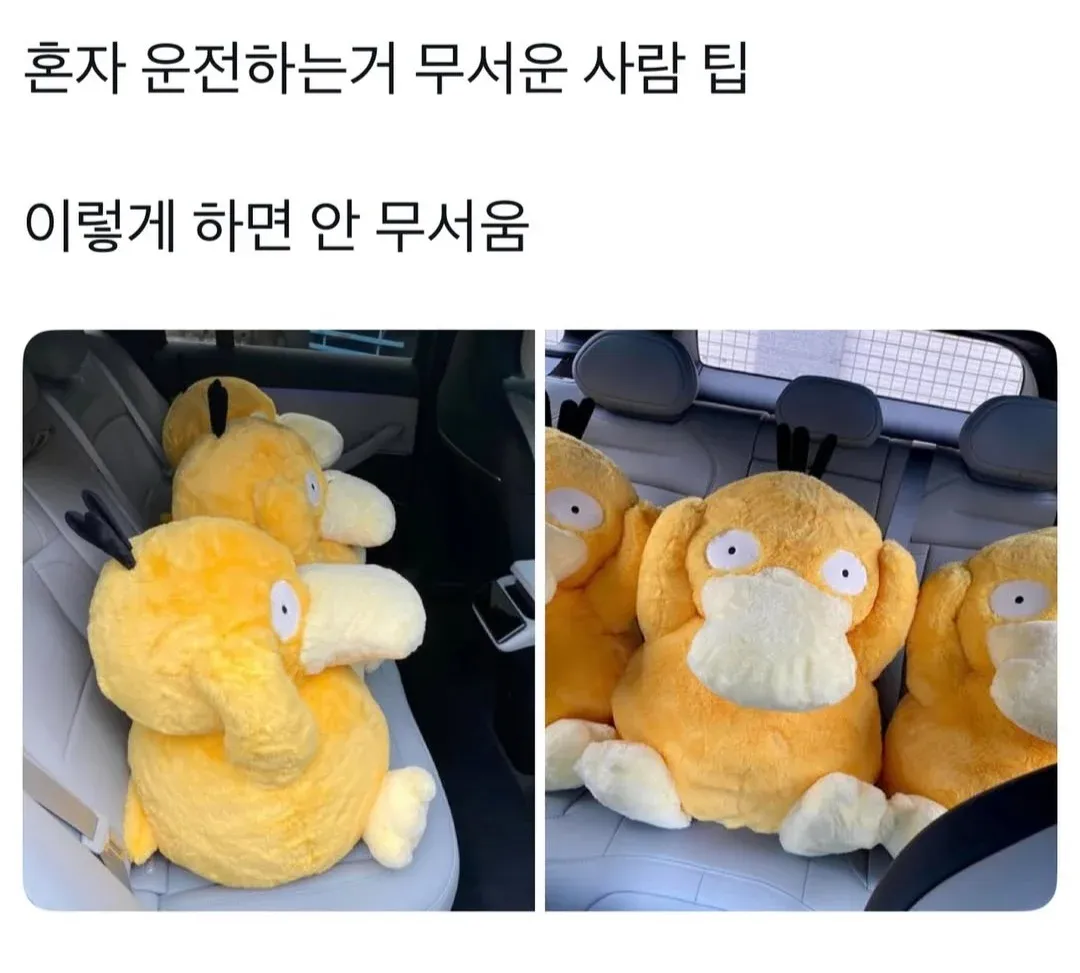 혼자 운전하는 거 무서운 사람 꿀팁.jpg