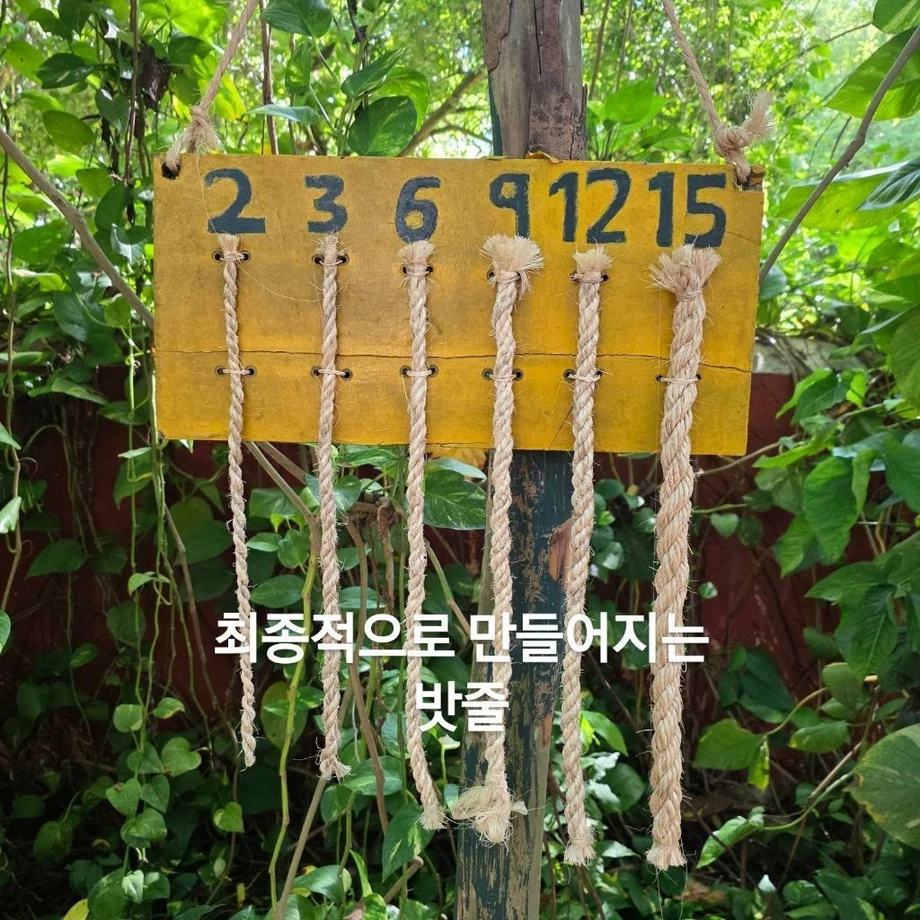 우리 선조들이 멕시코에 가서 한 일
