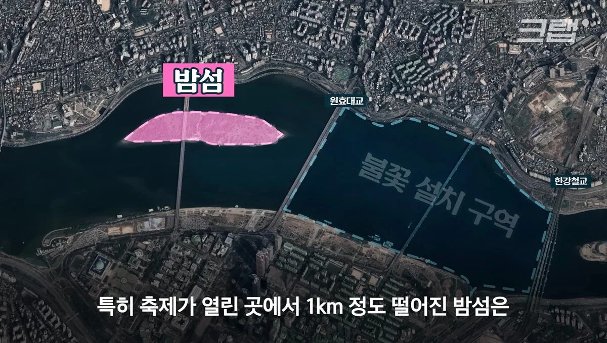새들에겐 거의 전쟁난 수준이라는 불꽃축제 (52)