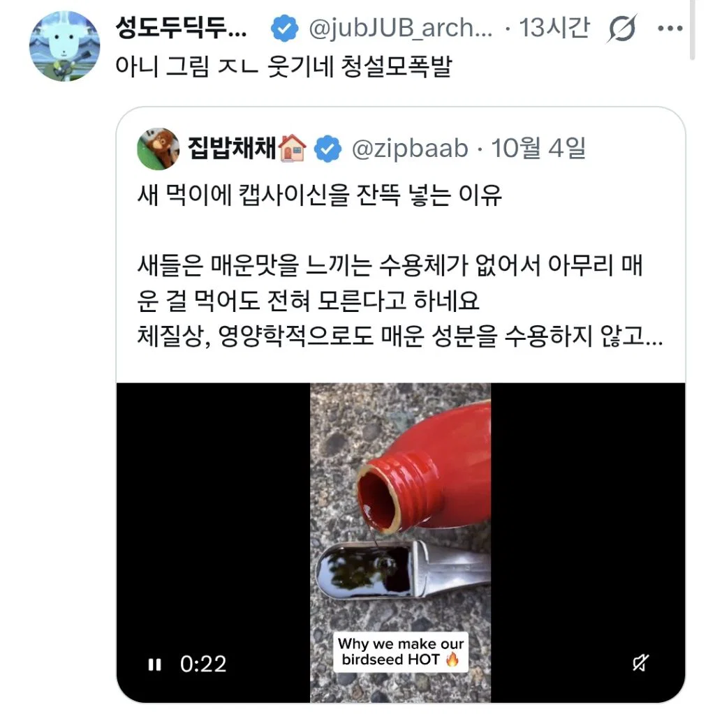 새 먹이에 캡사이신 섞어줌 (6)