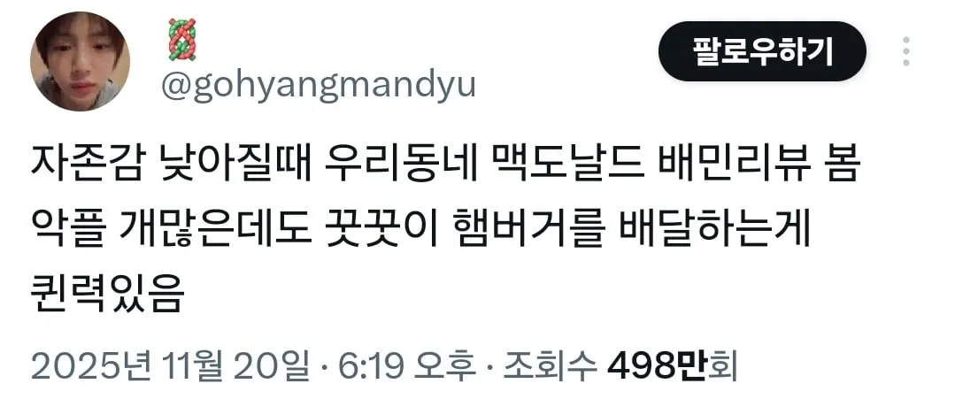 자존감 낮아질때 우리동네 맥도날드 배민리뷰 봄