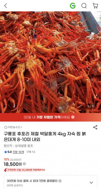 [지마켓] 구룡포 후포리 제철 박달홍게 4kg 8-10미