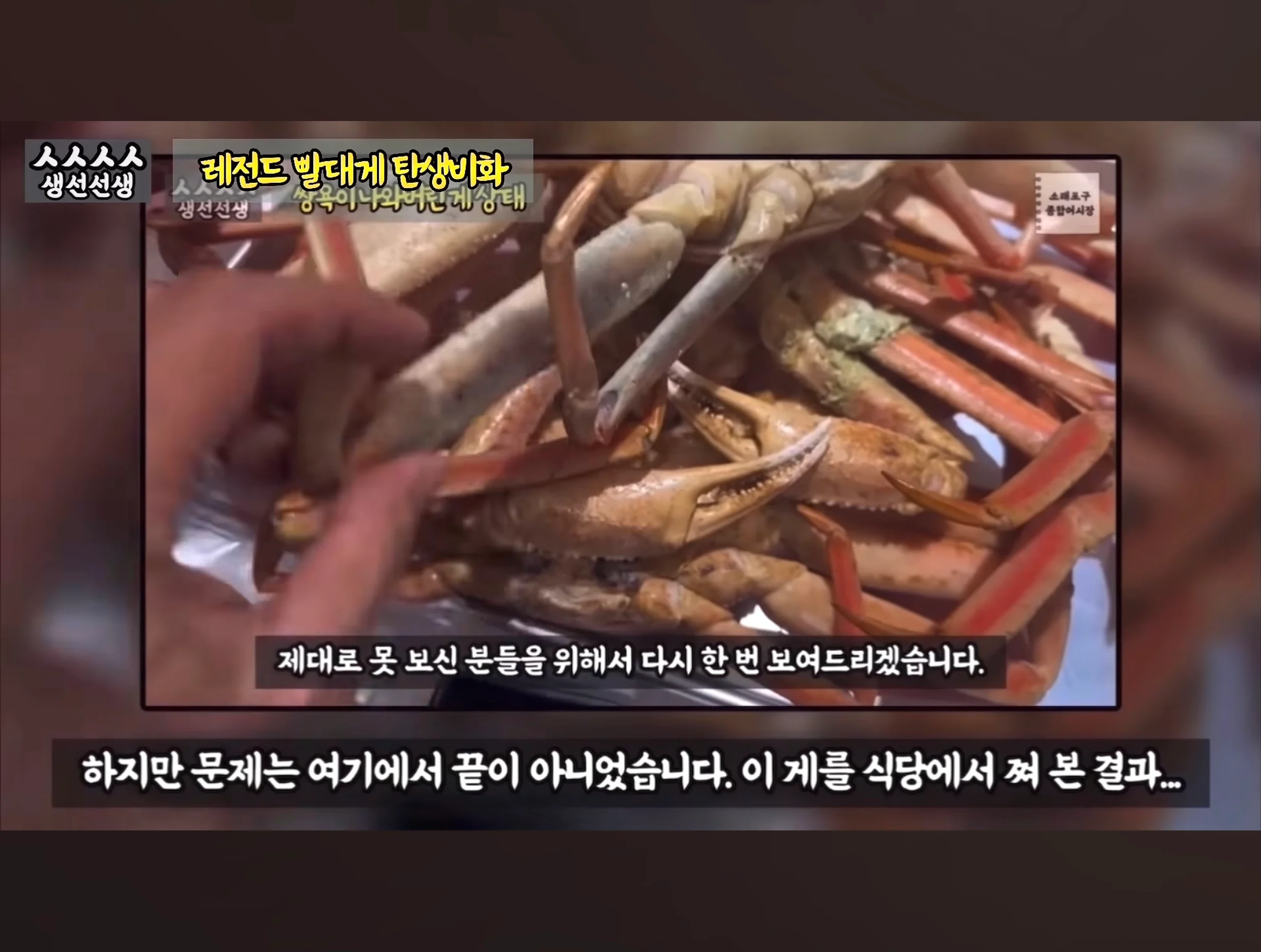 스압주의) 대게 구입 잘못했다가 미쳐버린 유튜버 (8)