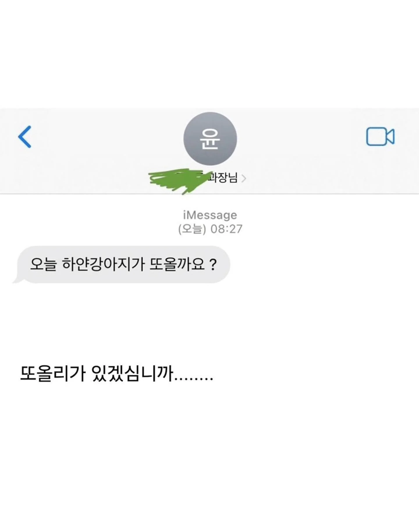 사정이 있어서 강아지 데리고 출근했는데 (3)