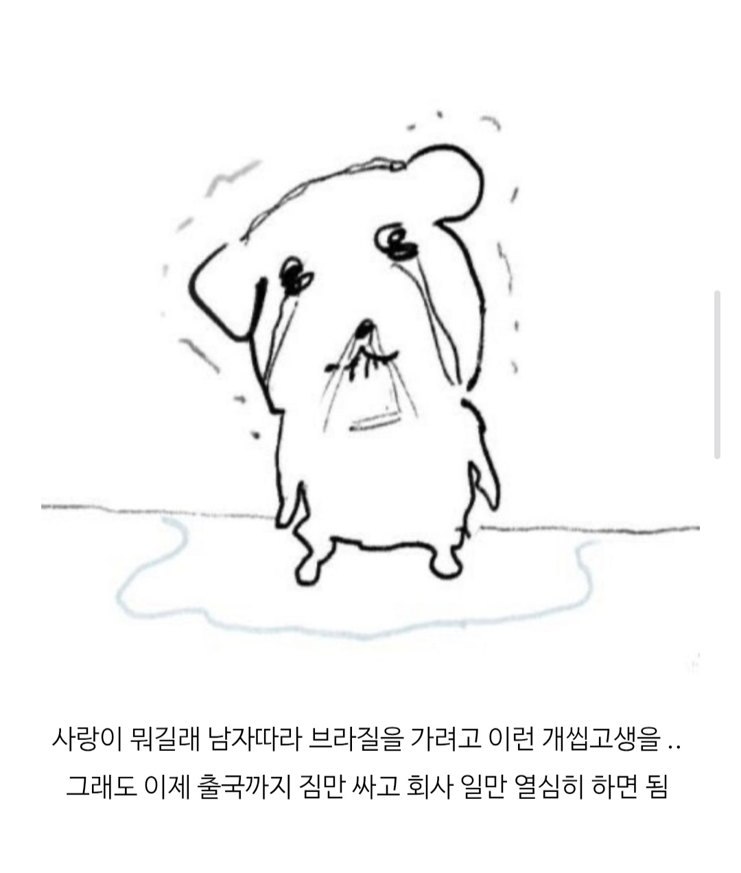 HtCSbe