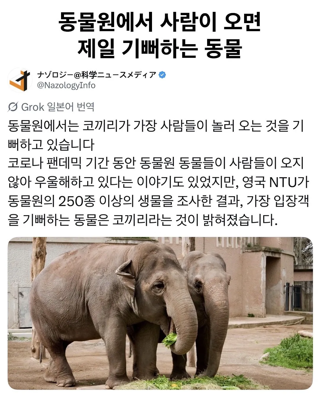동물원에 사람이 오면 제일 기뻐하는 동물