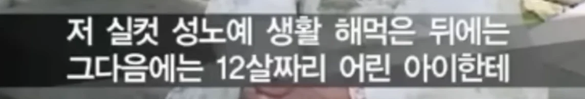 북한의 일본군 성노예 피해자 증언 (9)