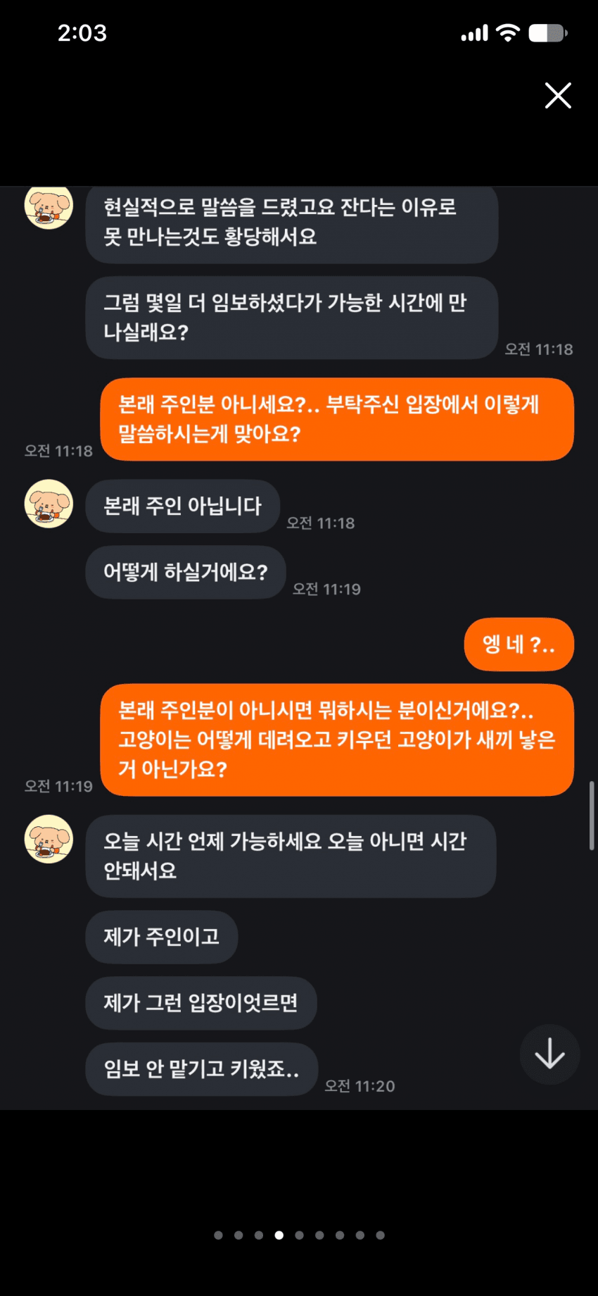 캣어머니한테 임보냥이 설계당한 당근 착한아줌마. (7)