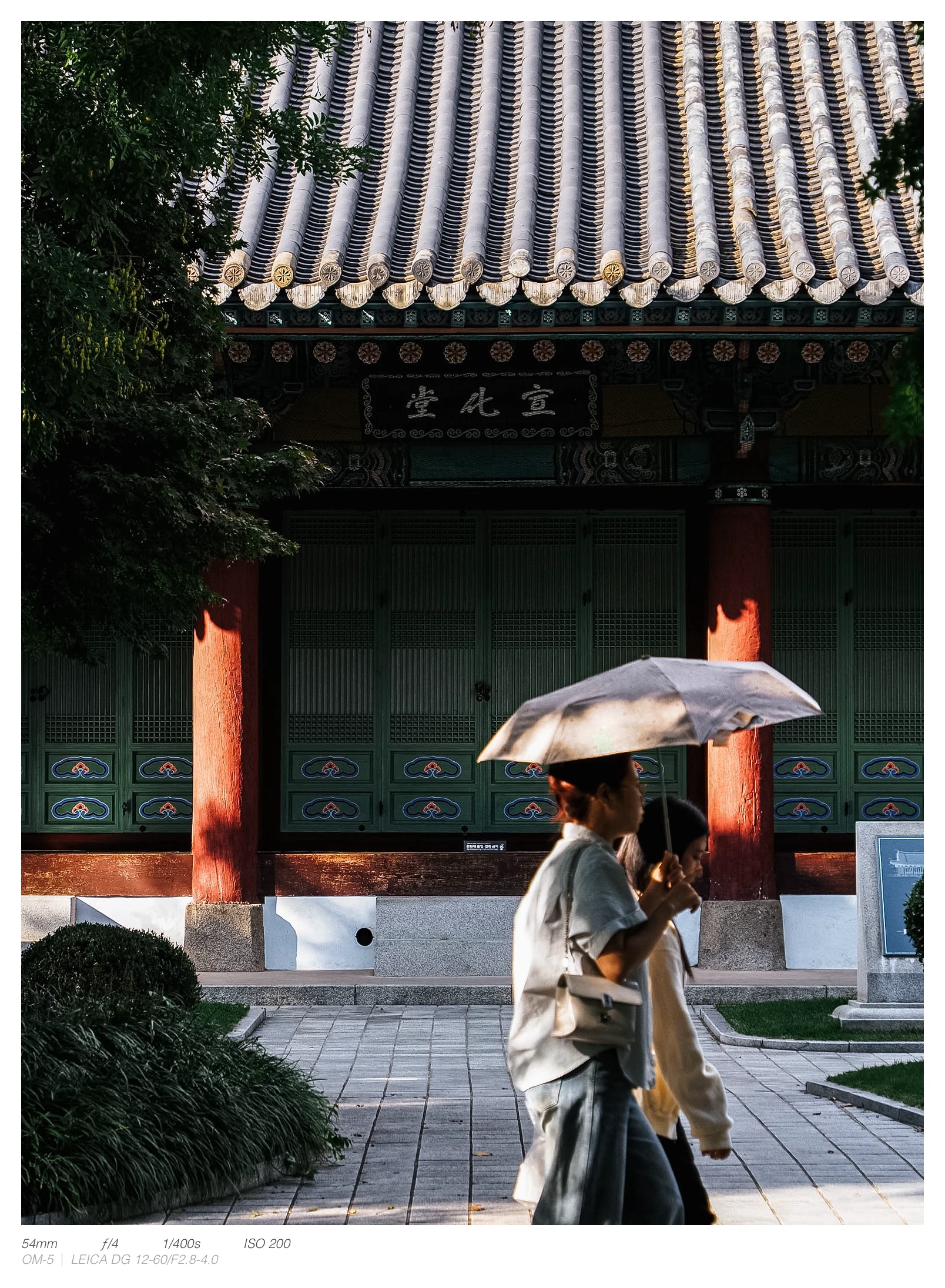 바로 디지털 쓰레기(32pic) (3)