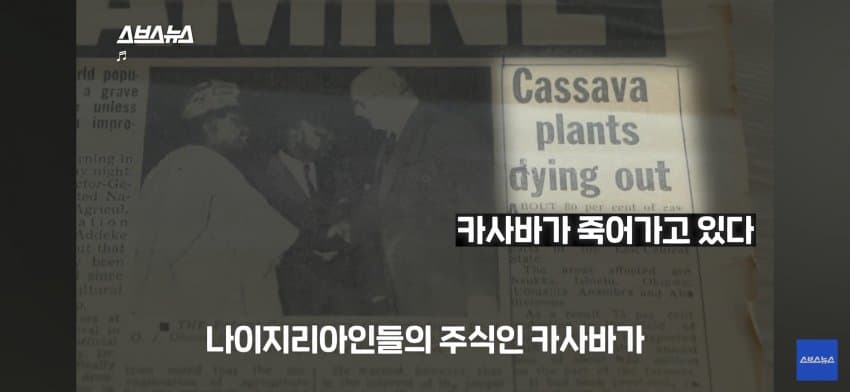싱글벙글 아프리카 한국인 대추장님 (3)