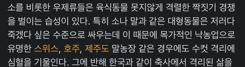 싱글벙글 의외로 동물 복지인거 (5)