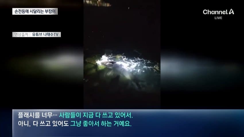 부캉이 보러... 결국 누적 100만명 돌파 (14)