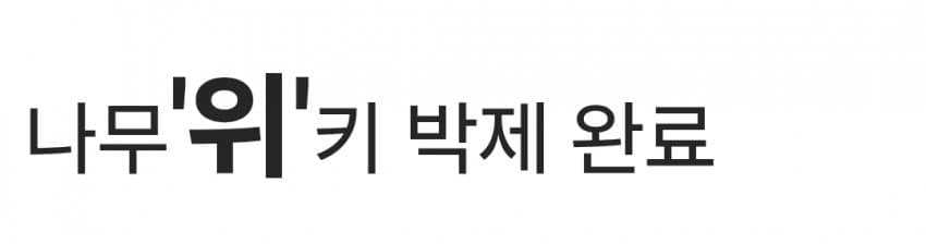 '너 지금 박위 상태야' 충격 근황.namuwiki (5)