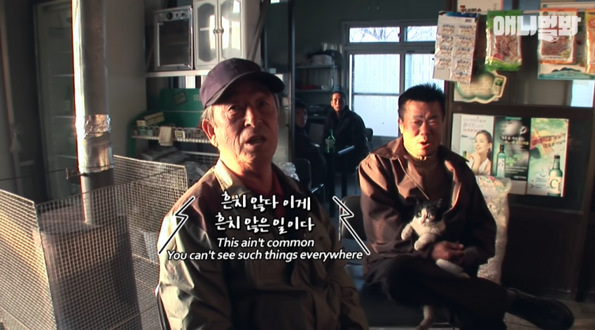 싱글벙글 자신을 치료해준 아재를 불길속에서 구한 털바퀴 (2)