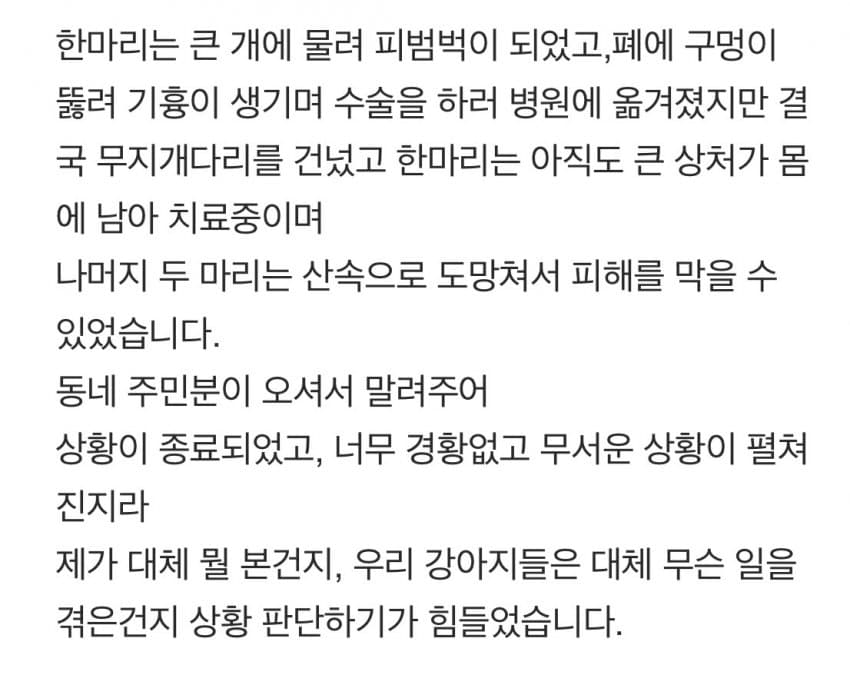 안싱글벙글 개물림 사고(강아지사망) 당했습니다 (5)