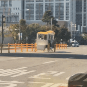 '다그닥 다그닥' 도로 한복판에 웬 말?…일산 마차 운행에 동물학대논란 (4)