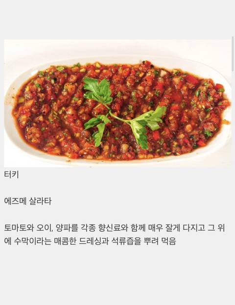 전 세계 나라들의 대표 샐러드