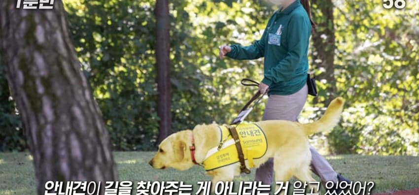 안내견은 목적지를 어떻게 아는 걸까?