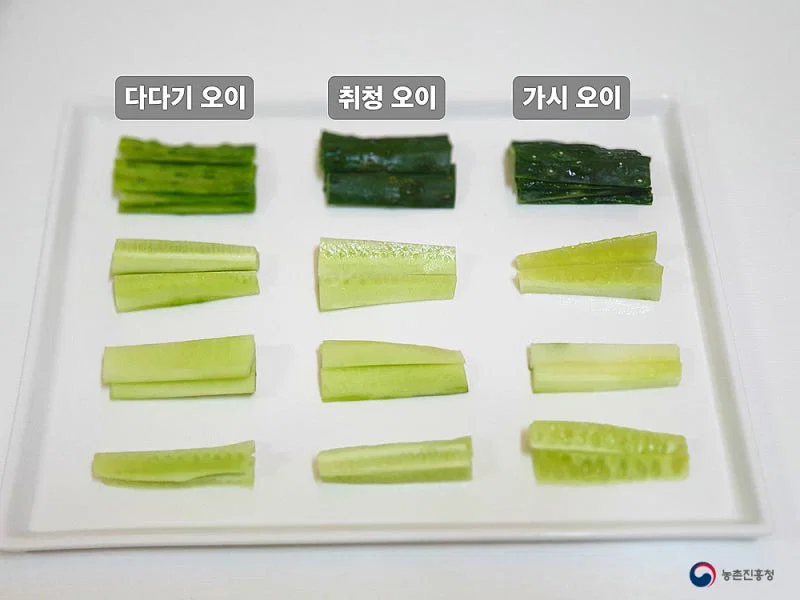 우리나라에서 수도권&충청도 / 전라도 / 경상도&제주도 지역마다 다르다는 채소 (11)