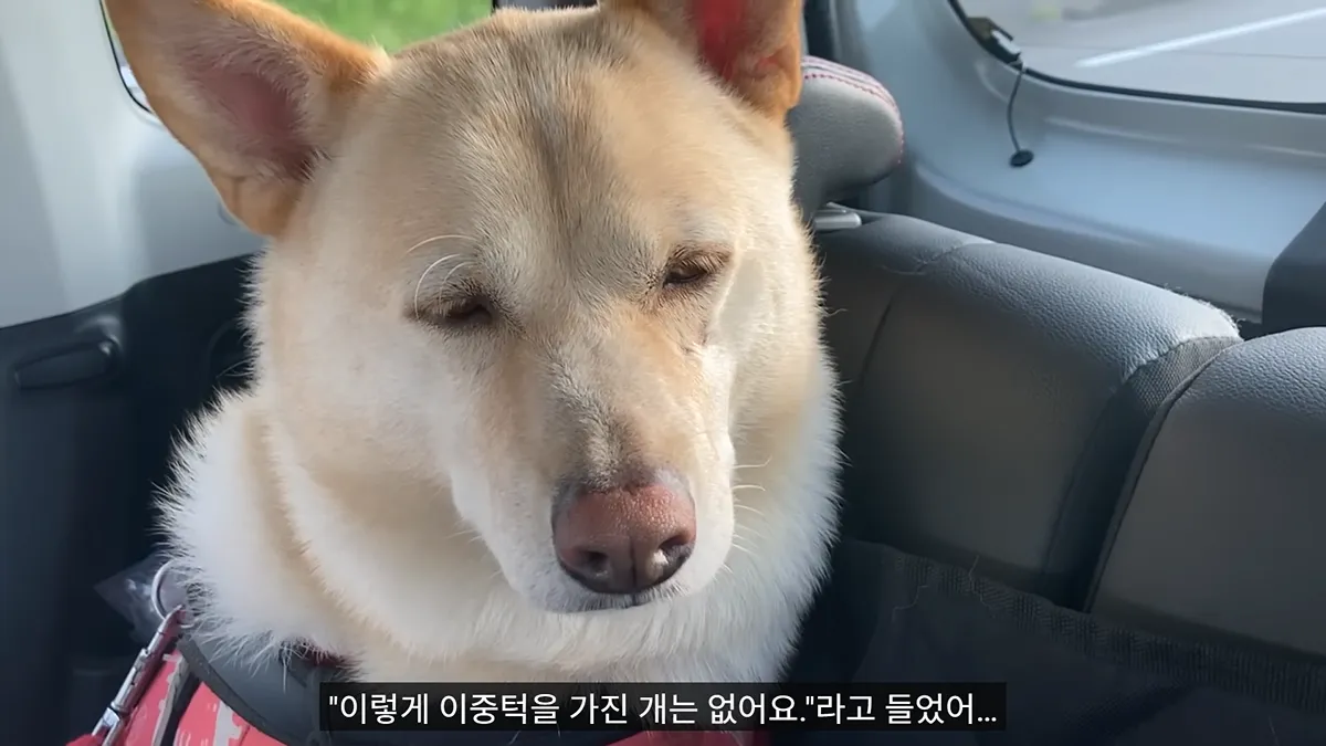 병원 의사에게 뚱뚱하다는 말을 들었어..