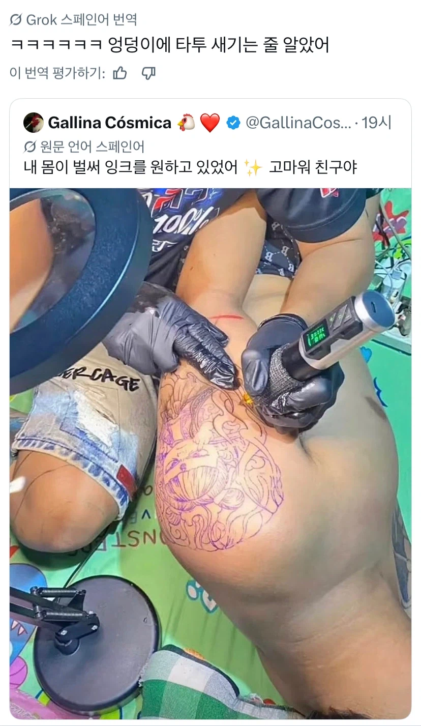 오늘자 모두를 혼돈에 빠뜨린 사진