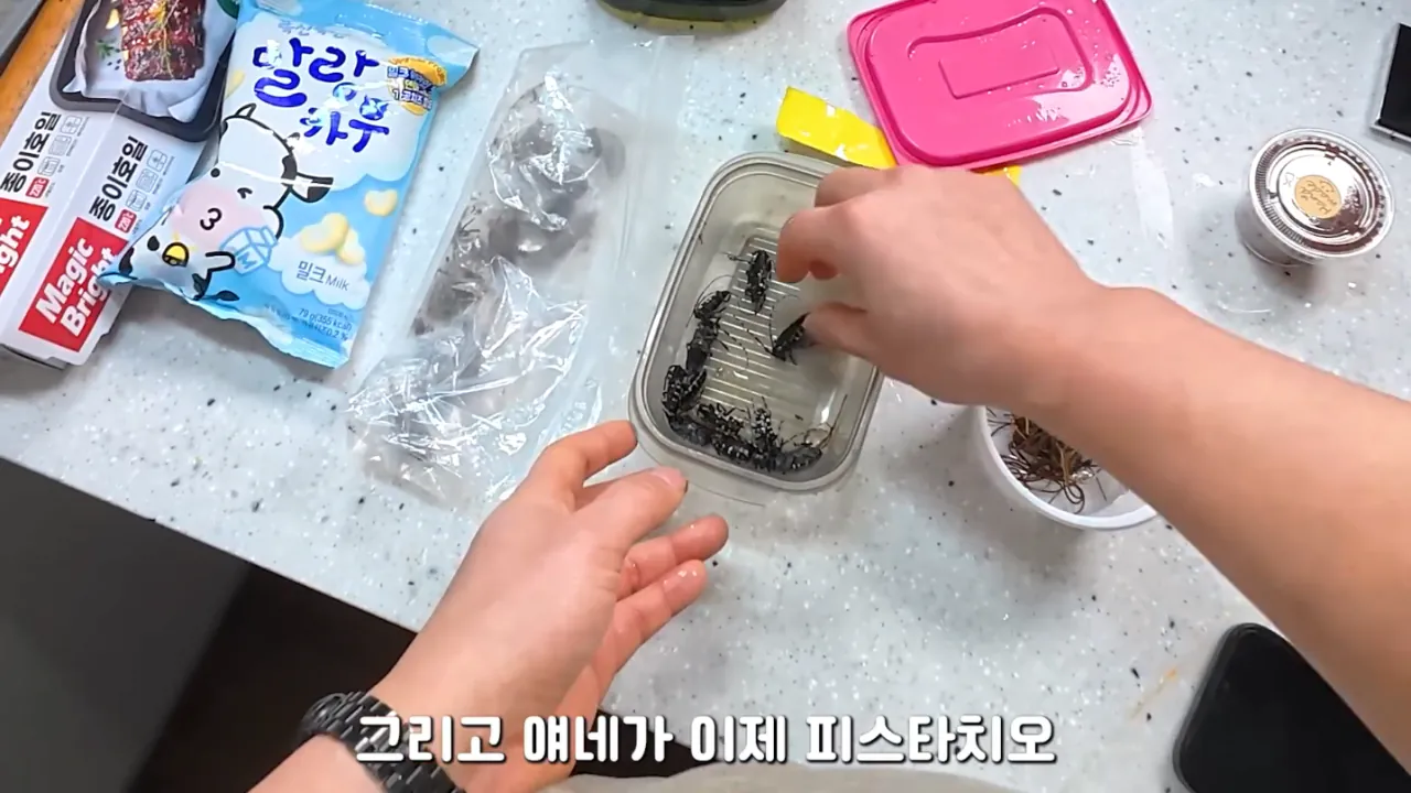 혐)연가시로 두쫀쿠만들어먹기 (5)
