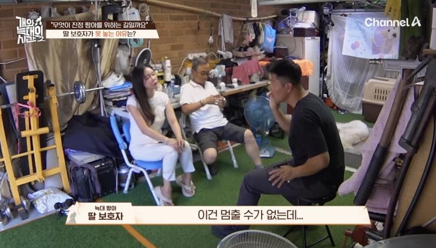 싱글벙글 반려견이 스트레스 받는데도 방송 촬영은 멈출 수 없다는 보호자 (31)