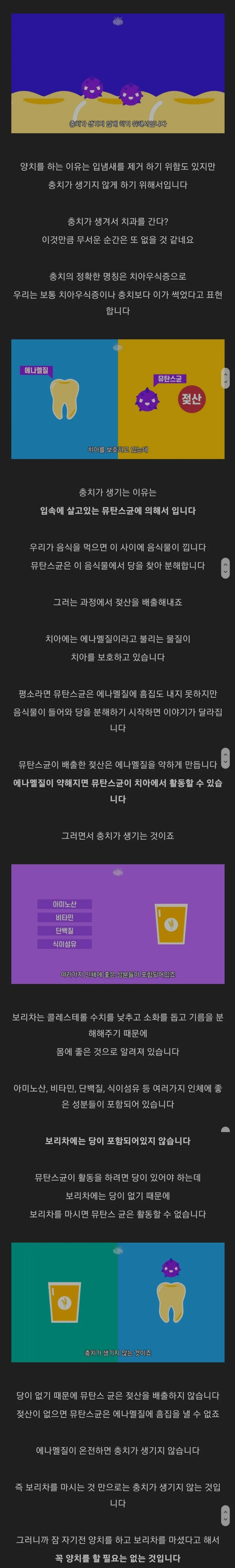 자기전 보리차를 마시면 양치를 해야할까?