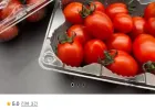 스테비아 방토 2kg
